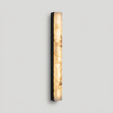 Eaton alabaster outdoor wall light in Black finish on a clean background