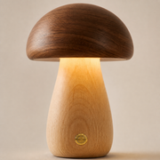 Close-up of the Parker dark walnut cap, pale wood body, warm light gap and brass-coloured control