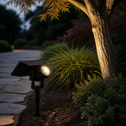 York solar garden spike spotlight uplighting an ornamental tree beside a stone path at dusk